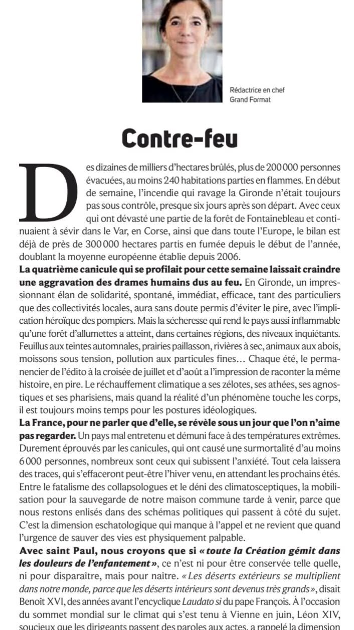 Cresus Casino en ligne : inscription, connexion et jeux exclusifs - aperçu